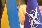 "Оранжевые" рвутся в НАТО