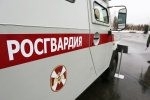 Возраст выдачи разрешения на покупку оружия могут повысить