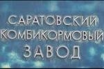 Радаев пустил под "нож" СКЗ?