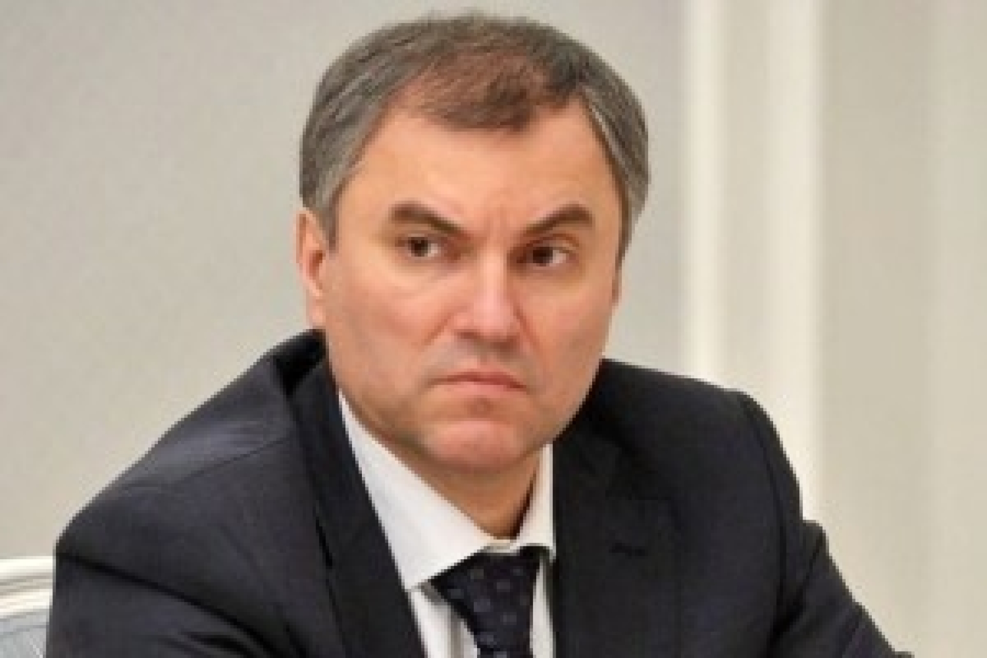 Володин поручил опротестовать санкции против Резника