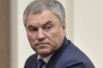 Володин поручил опротестовать санкции против Резника