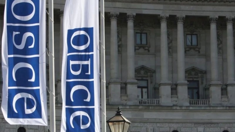 В ОБСЕ прокомментировали выборы в парламент Белоруссии