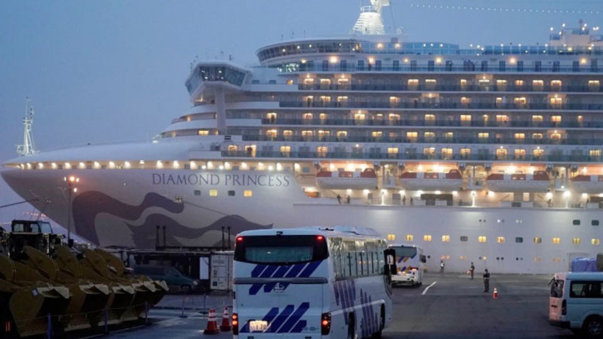 У гражданки РФ на борту Diamond Princess выявили коронавирус