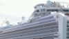 Еще восемь граждан РФ покинули Diamond Princess