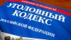 За нарушения при голосовании по Конституции предложили ввести уголовное наказание