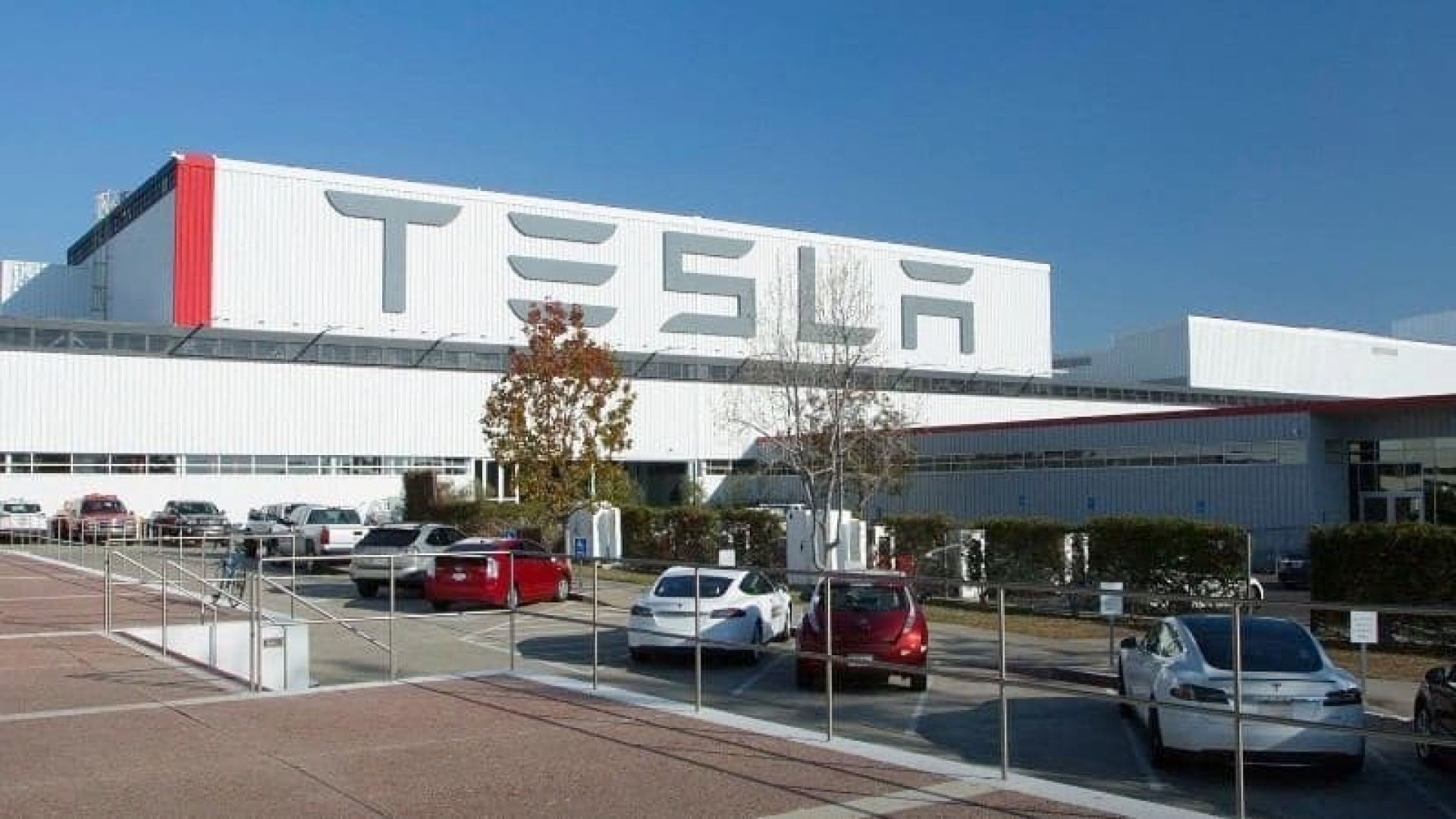 Младший брат Маска продал акции Tesla Inc