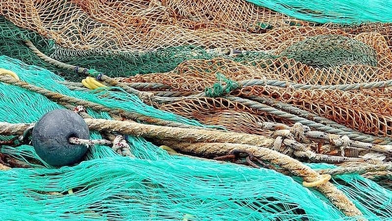 Черчесов "забивает" в рыбные сети