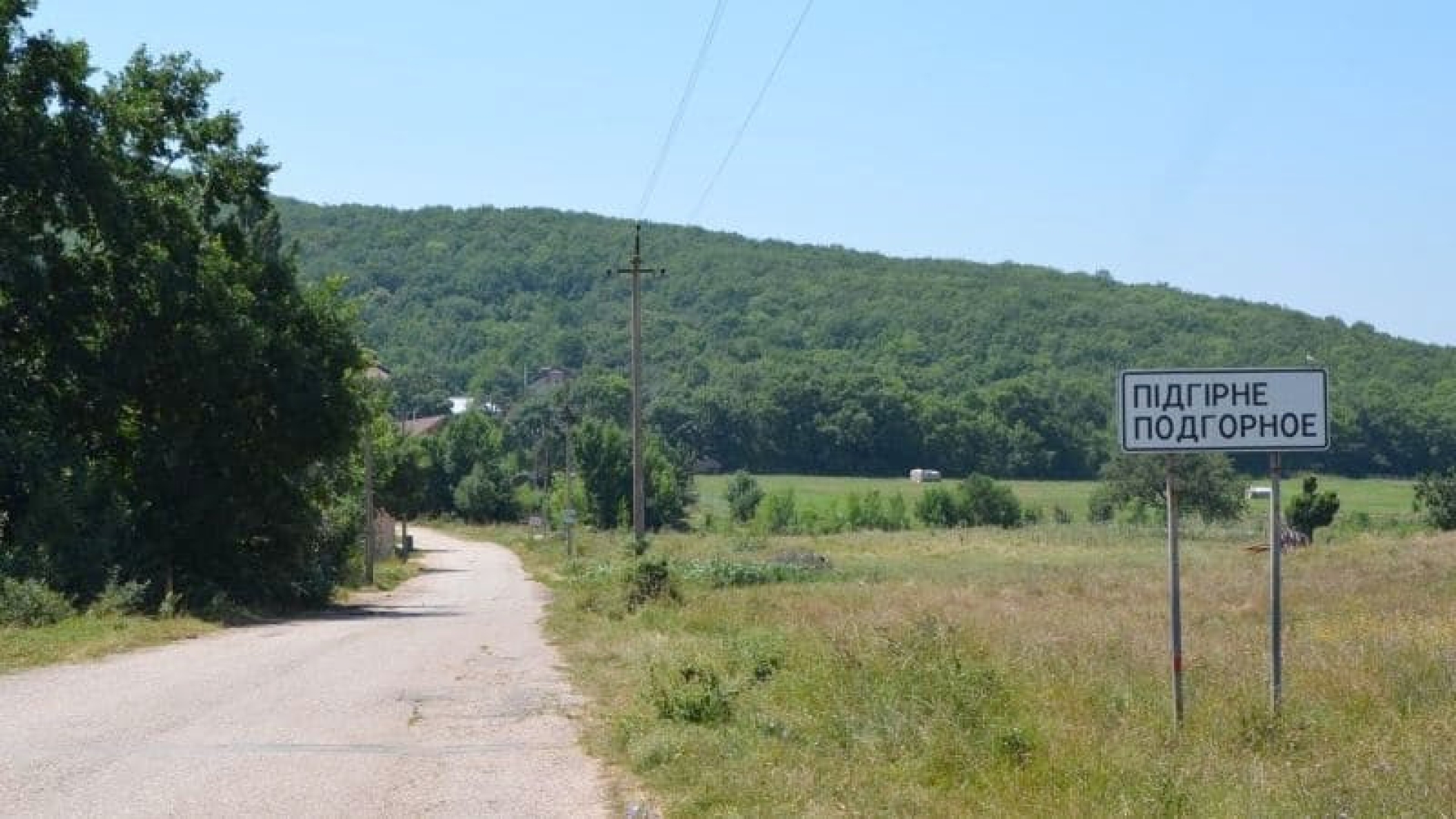 Гусев, Рамонь и молочный детектив