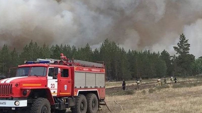 Дома в Челябинской области охватил лесной пожар