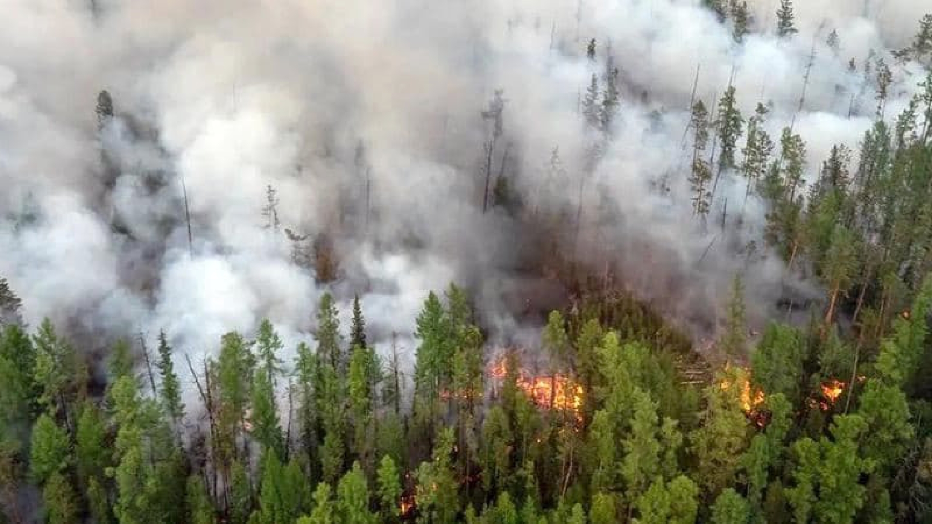 Пожар в Якутии подобрался к Светлинской ГЭС