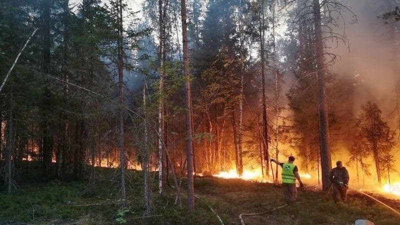 В Карелии объявлен режим ЧС