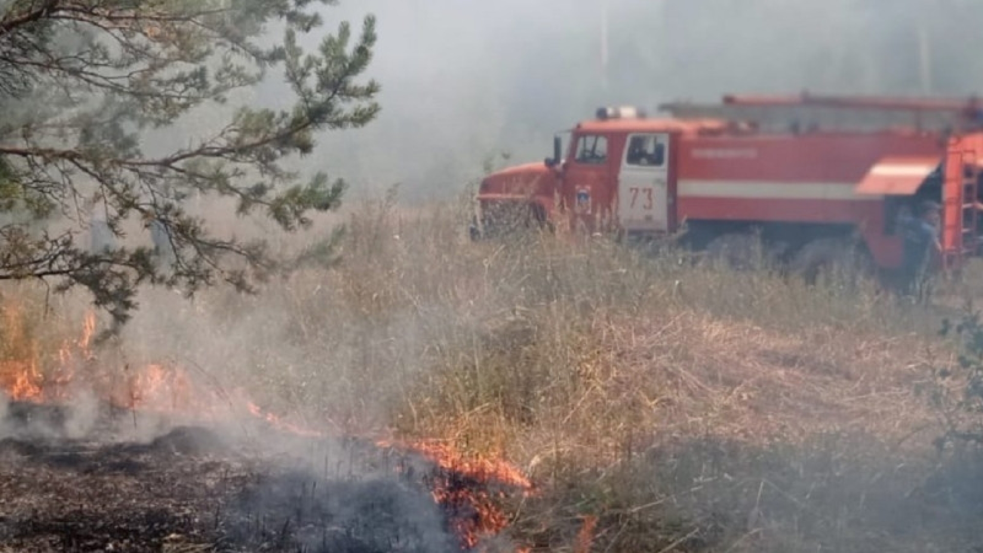 В Башкирии увеличилась площадь лесных пожаров