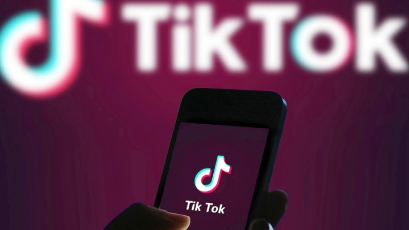 Госдума предложила TikTok автоматически удалять незаконный контент