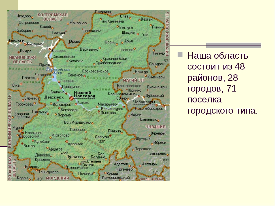 "Губернатор-андроид": как глава Нижегородской области Никитин "послал Сяву в Шахунью"