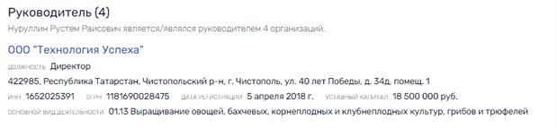 Потянуло к истокам: бизнес-интерес родни вице-премьера Хуснуллина добрался до картошки 