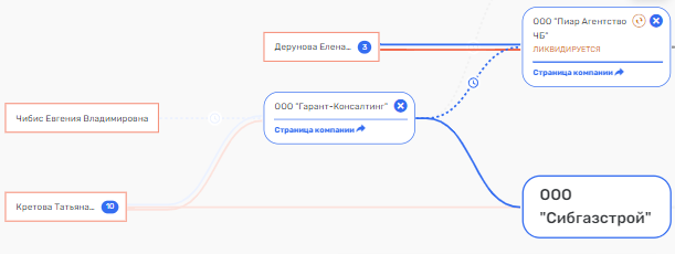 Похоронных дел Чибис: с кем ведёт дела сестра губернатора?