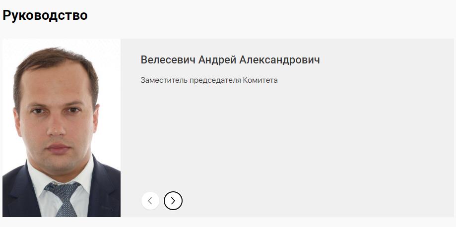 Родионов и Ко: серые кардиналы питерских путепроводов