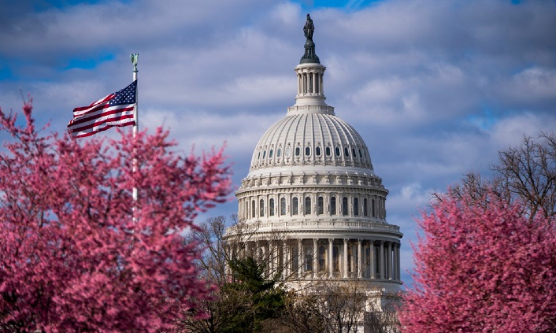 США не готовы ослабить санкции в обмен на экспорт зерна через Черное море