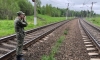 Трое подростков шли на выпускной и погибли под поездом в Тамбовской области