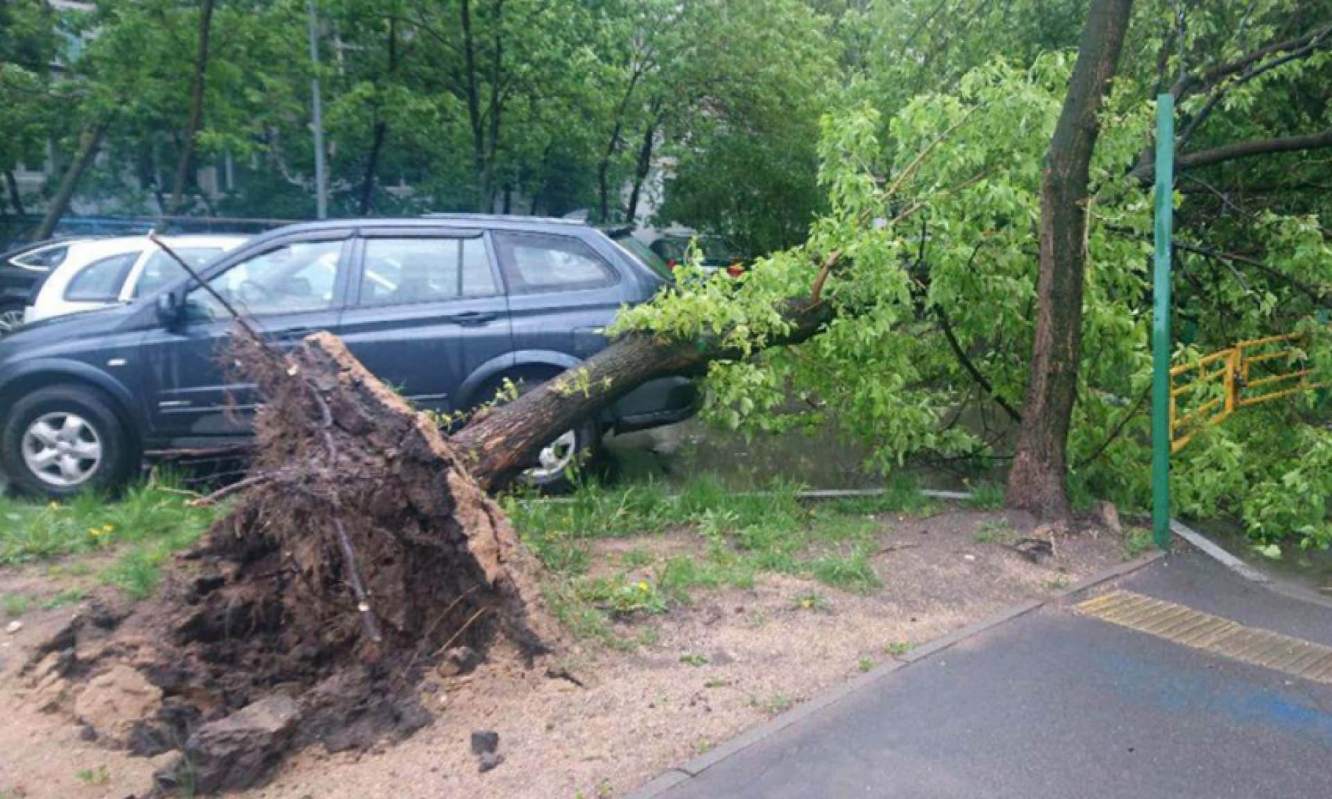 Два человека погибли и 18 травмированы из-за урагана в Москве