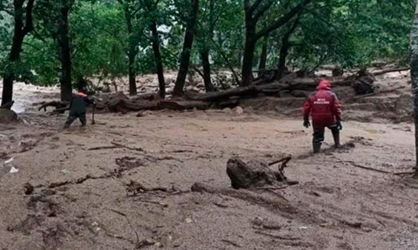 При сходе селя в Приморском крае погиб ребенок