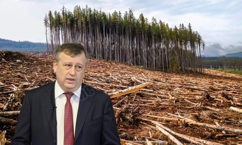 Лесные "войны" губернатора Дрозденко
