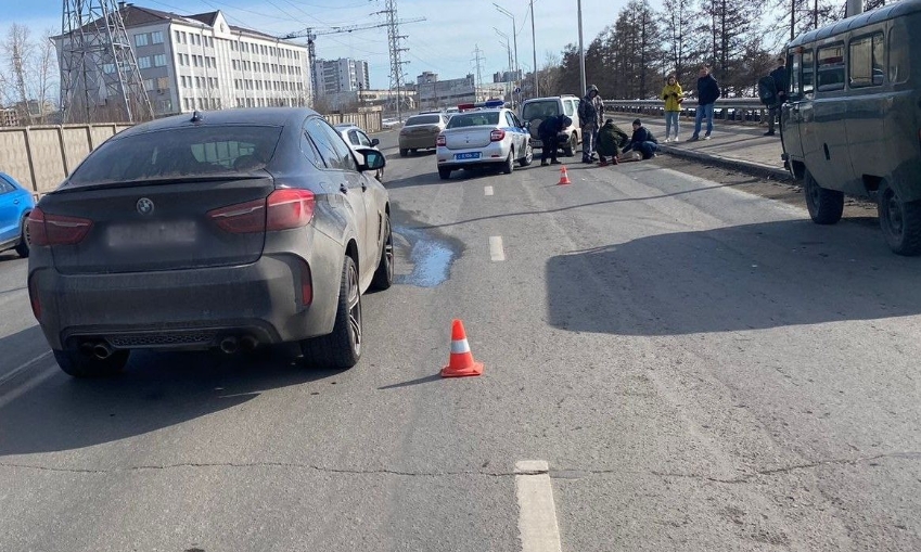 Косуля попала под колеса автомобиля в центре Красноярска