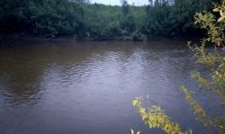 Тела трех девочек обнаружили в реке в Чувашии