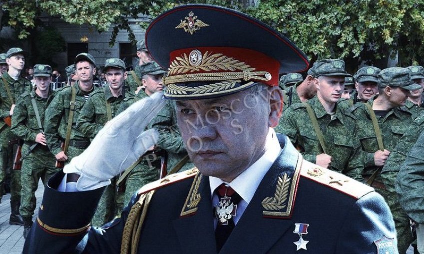 Шойгу: Минобороны сформирует резервную армию и армейский корпус к концу июня