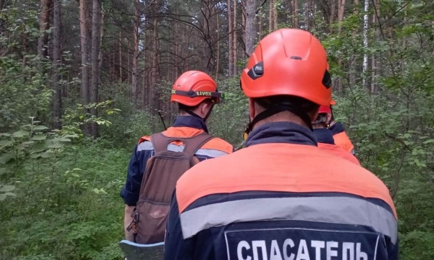 В красноярской роще две женщины упали с 30-метрового обрыва