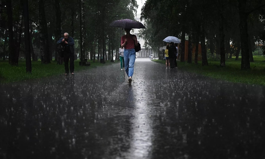 Московские парки и зоопарк временно закрыли из-за непогоды