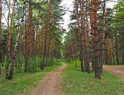 Петр Бирюков "ушел в кусты" Жулебинского заказника