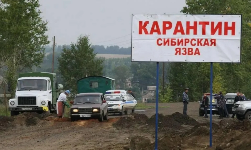 В Воронежской области выявили второй очаг сибирской язвы