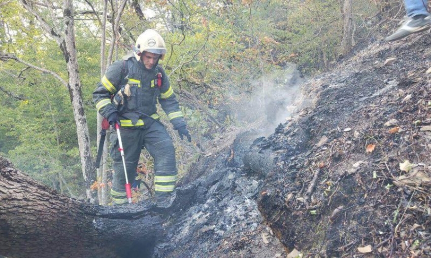 Площадь лесного пожара в Геленджике возросла до 118 га