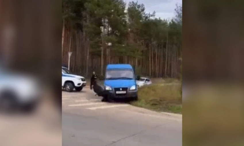 Во Владимирской области водитель сбил полицейского и скрылся