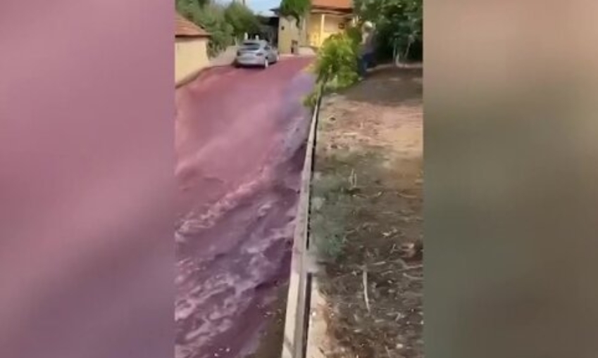 Улицы в городе в Португалии затопило вином
