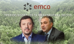 Несис в Мисевре дал угля: бизнесмены "отжимают" за 283 га сахалинского леса