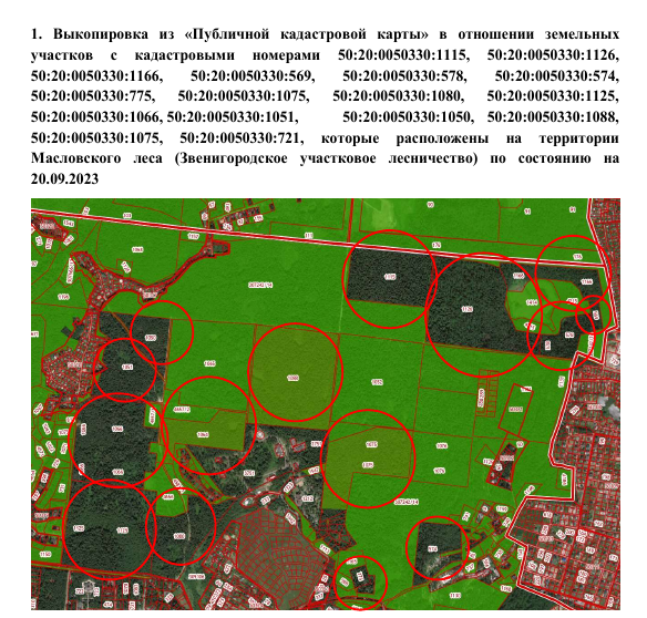 "Лесники" Воробьева: сын Черномырдина замешан в земельном схематозе в Подмосковье?