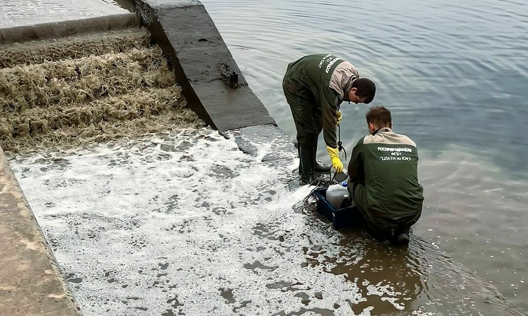 А еще матом кроет: почему волгоградцы устали от Бочарова