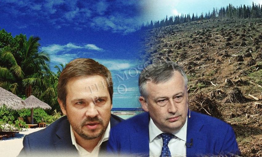Дрозденко стучится в "Октагон": издание вышло губернатору лесом