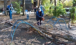 В Липецке возбудили дело о халатности после падения дерева на 10-летнюю девочку