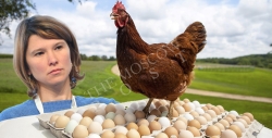 Роковые яйца Оксаны Лут