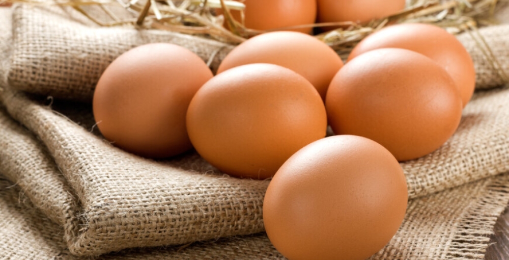 Турция поставила в Россию вторую партию куриных яиц 