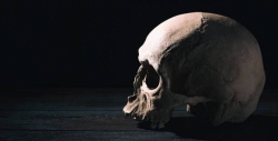 Следком проведет проверку из-за найденного скелета женщины во Владимире