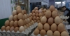 Яйца подешевели до 129 рублей