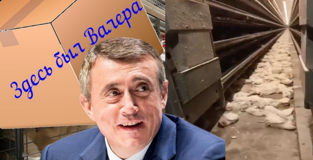 Вот такой у нас Валера: как глава Сахалина Лимаренко скрывает информацию