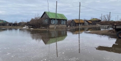 В Курганской области более 7,1 тысячи домов остаются подтопленными 