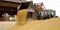 Банк России проработает возможность создания зерновой биржи стран БРИКС 