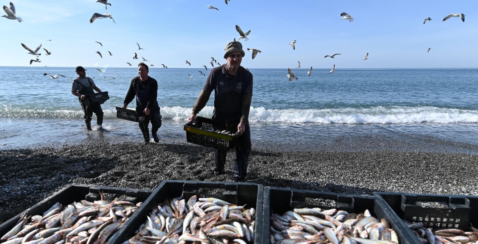 Правительство РФ поддержит рыболовство в Азовском и Черном морях