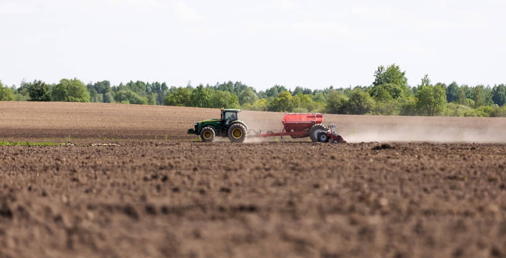Зерновой союз сообщил, что заморозки в России повредили до 30 процентов посевов озимых культур